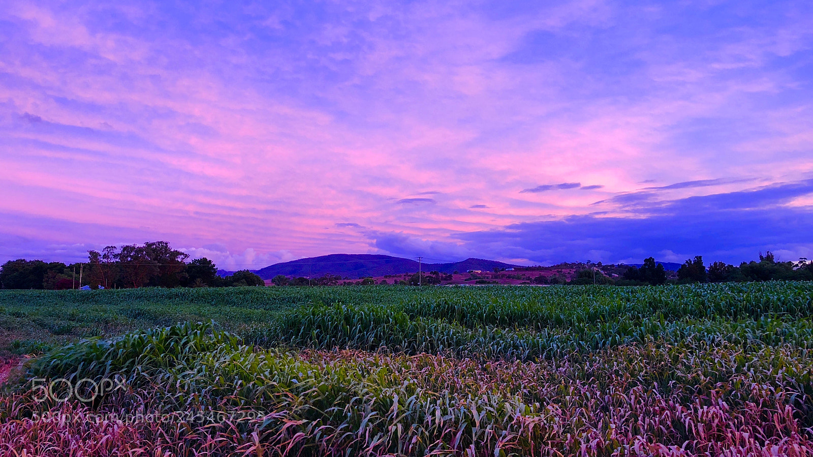 Apple iPhone 8 Plus sample photo. Sunset at aberdeen nsw. photography