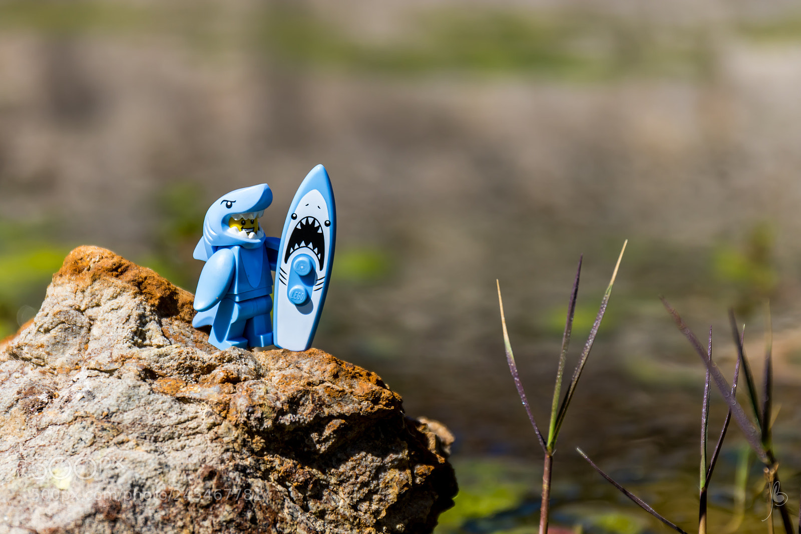 Canon EOS 7D Mark II sample photo. Swamp surfing photography