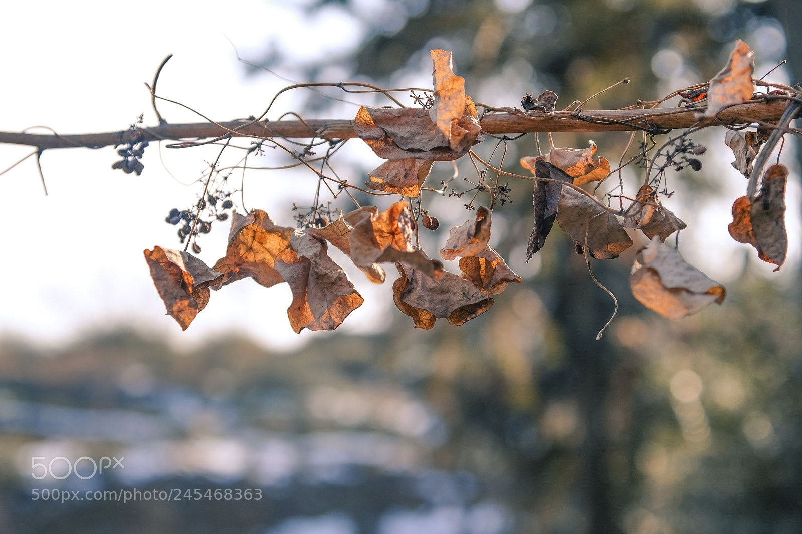 Fujifilm X-E2 sample photo. Untitled photography