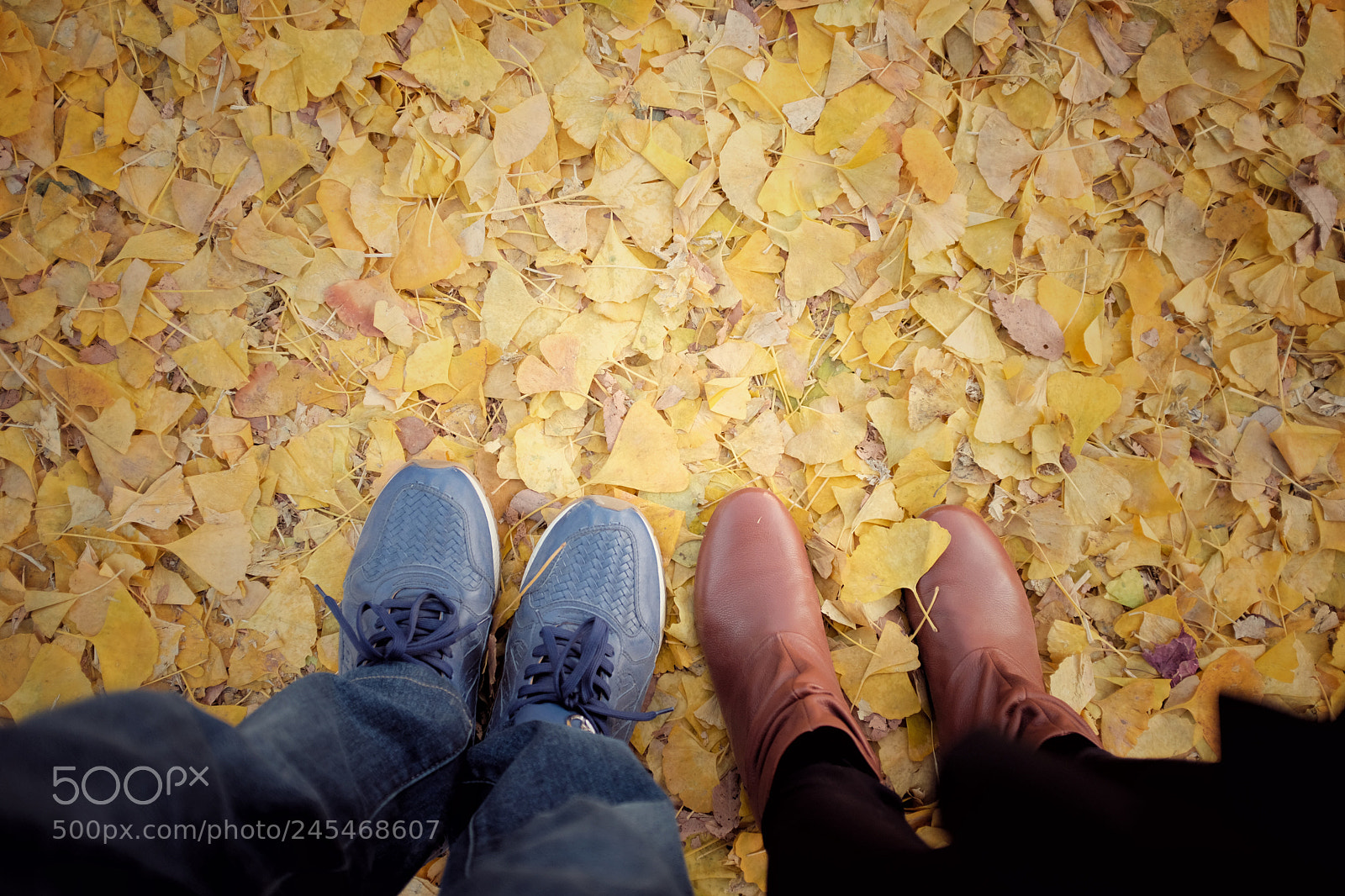 Fujifilm X100F sample photo. Untitled photography