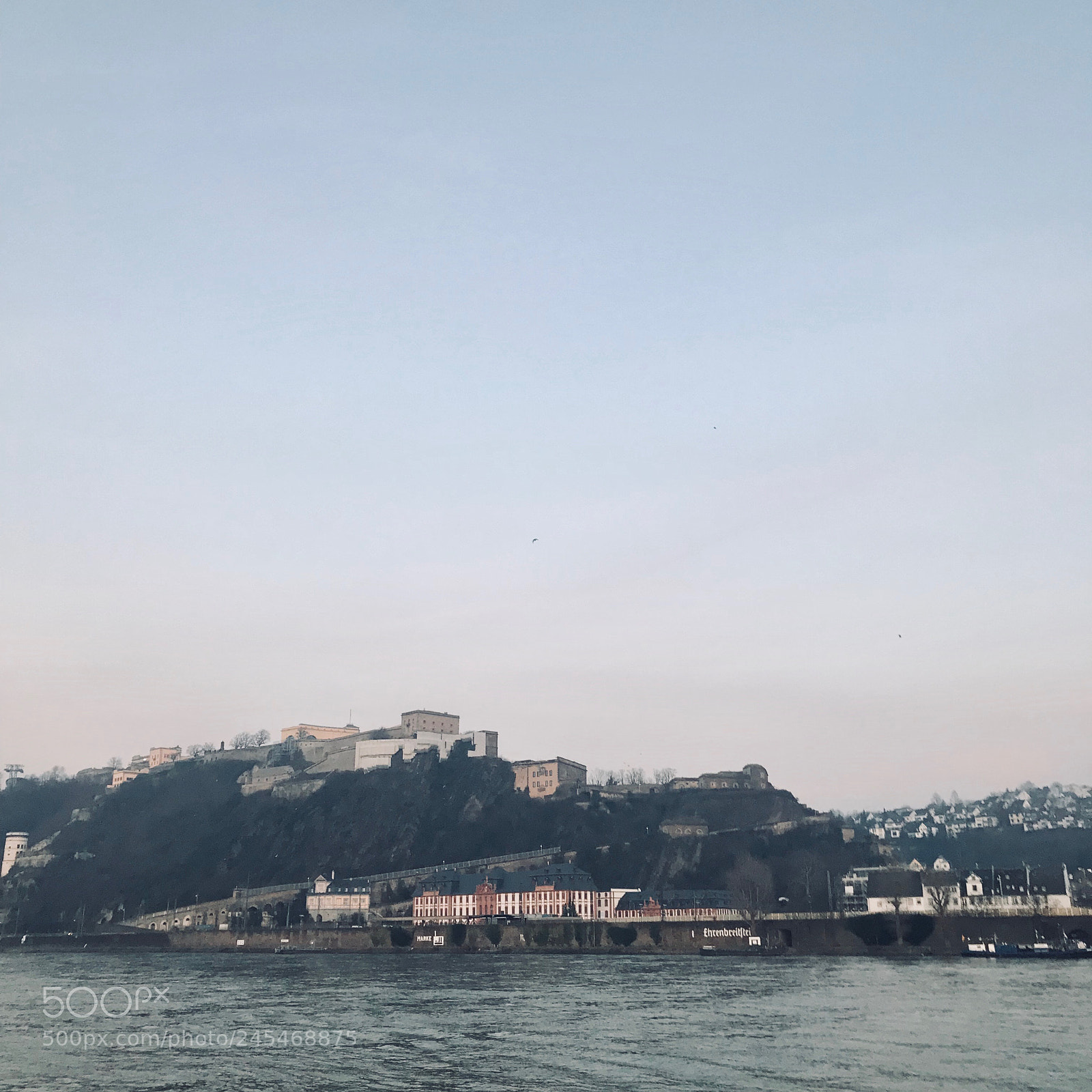 Apple iPhone 7 Plus sample photo. Untitled photography