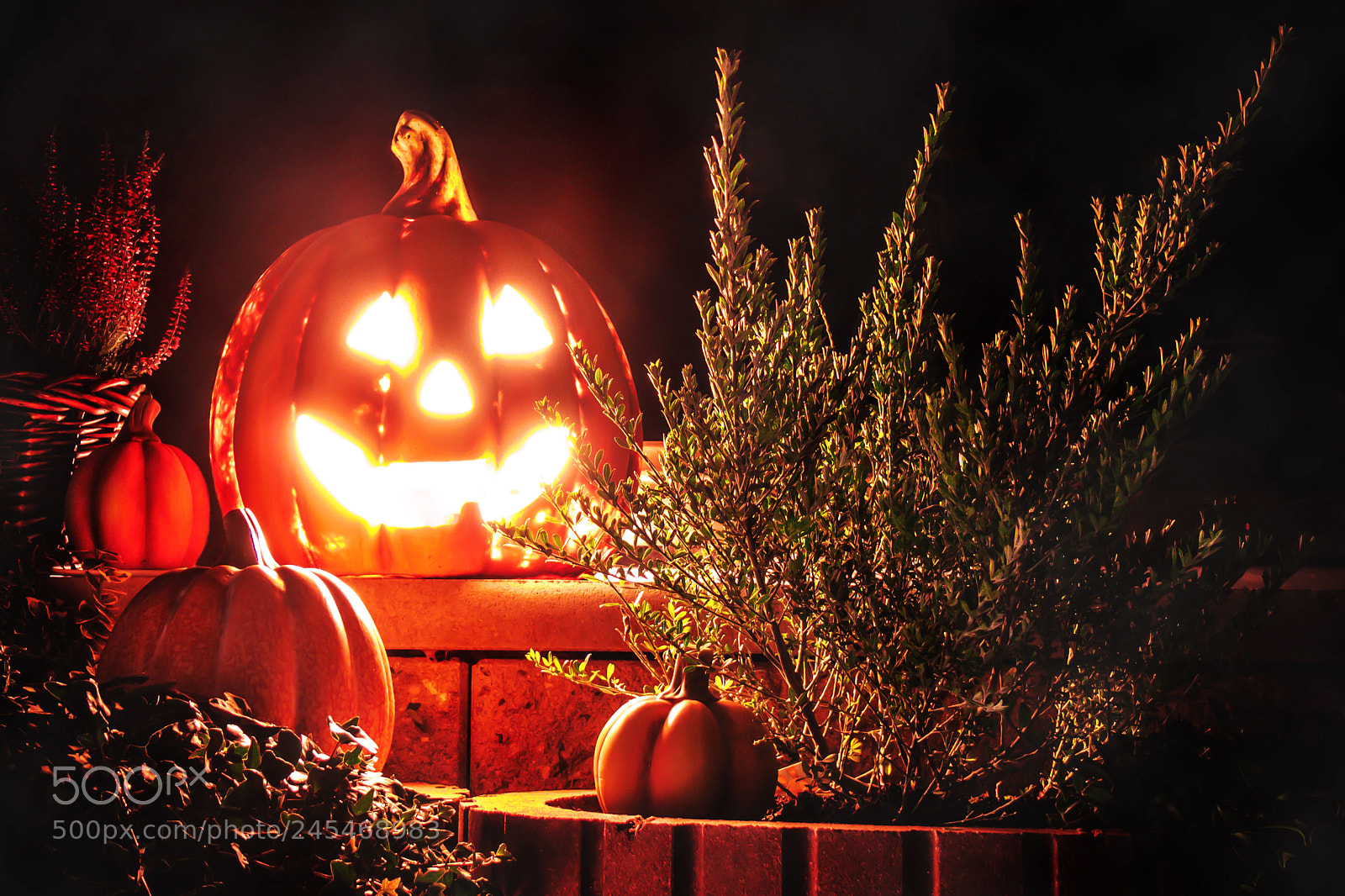 Panasonic DMC-FZ30 sample photo. Jack-o'-lantern photography