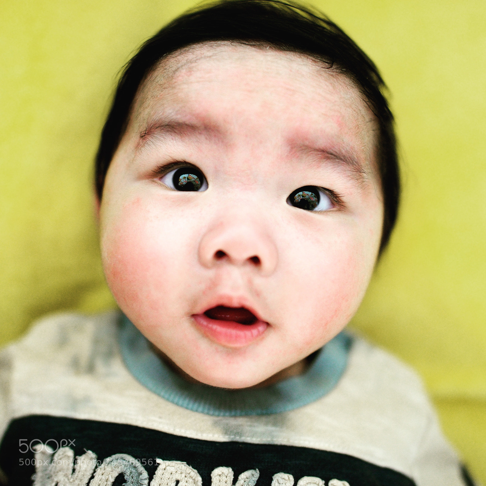 Nikon D800 sample photo. Untitled photography