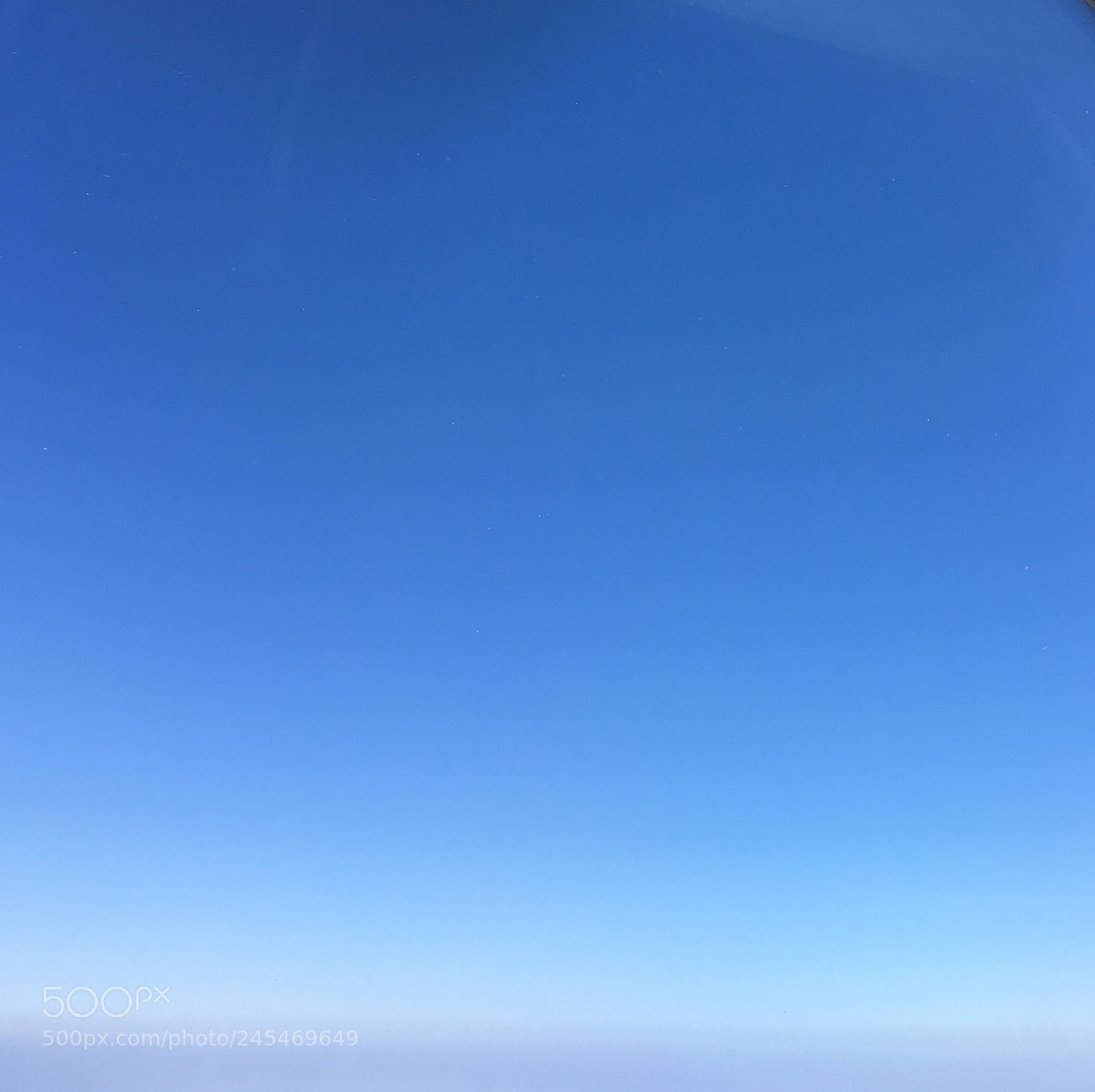Apple iPhone 6s Plus sample photo. Untitled photography