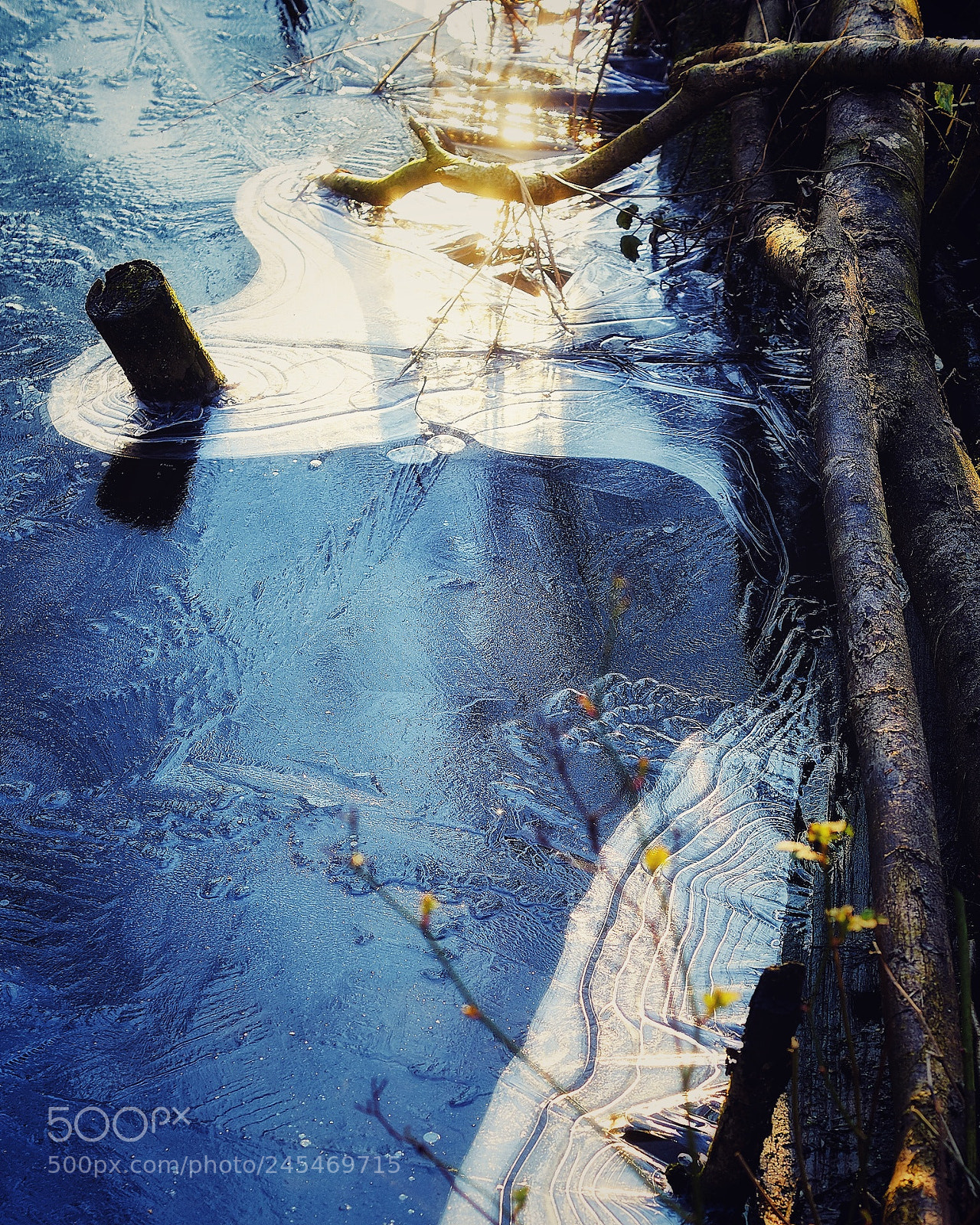 Sony ILCA-77M2 sample photo. Winter sun on ice photography