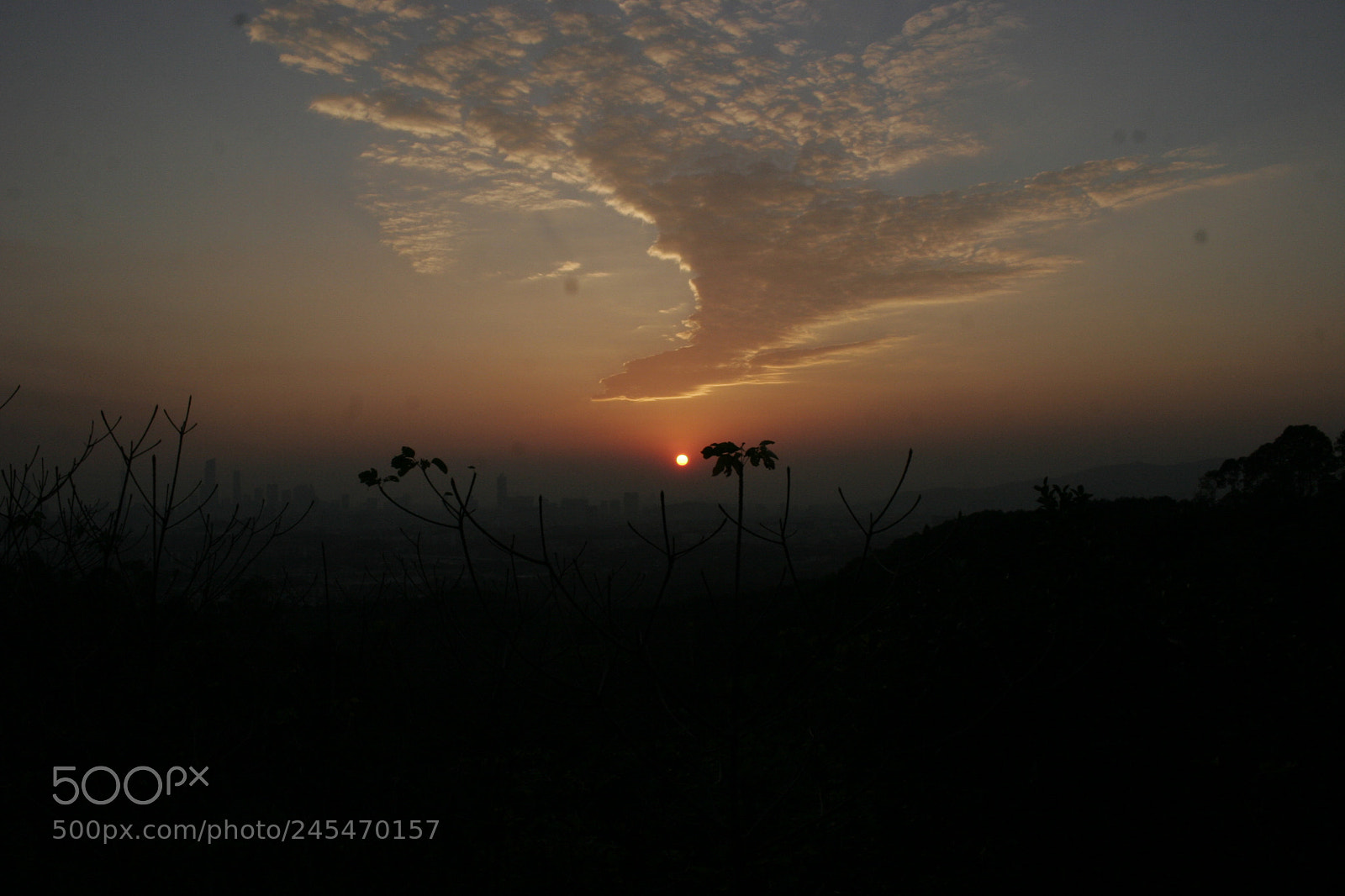 Canon EOS 20D sample photo. 06.jpeg photography