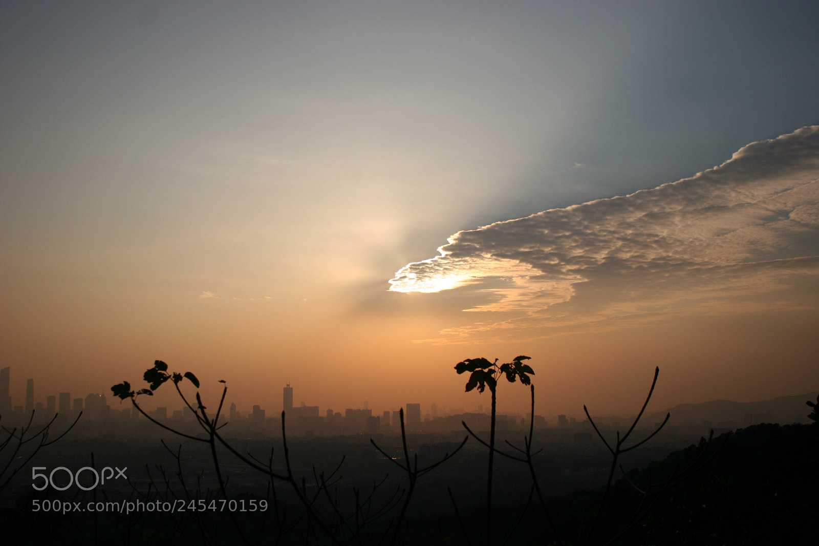 Canon EOS 20D sample photo. QqͼƬ photography