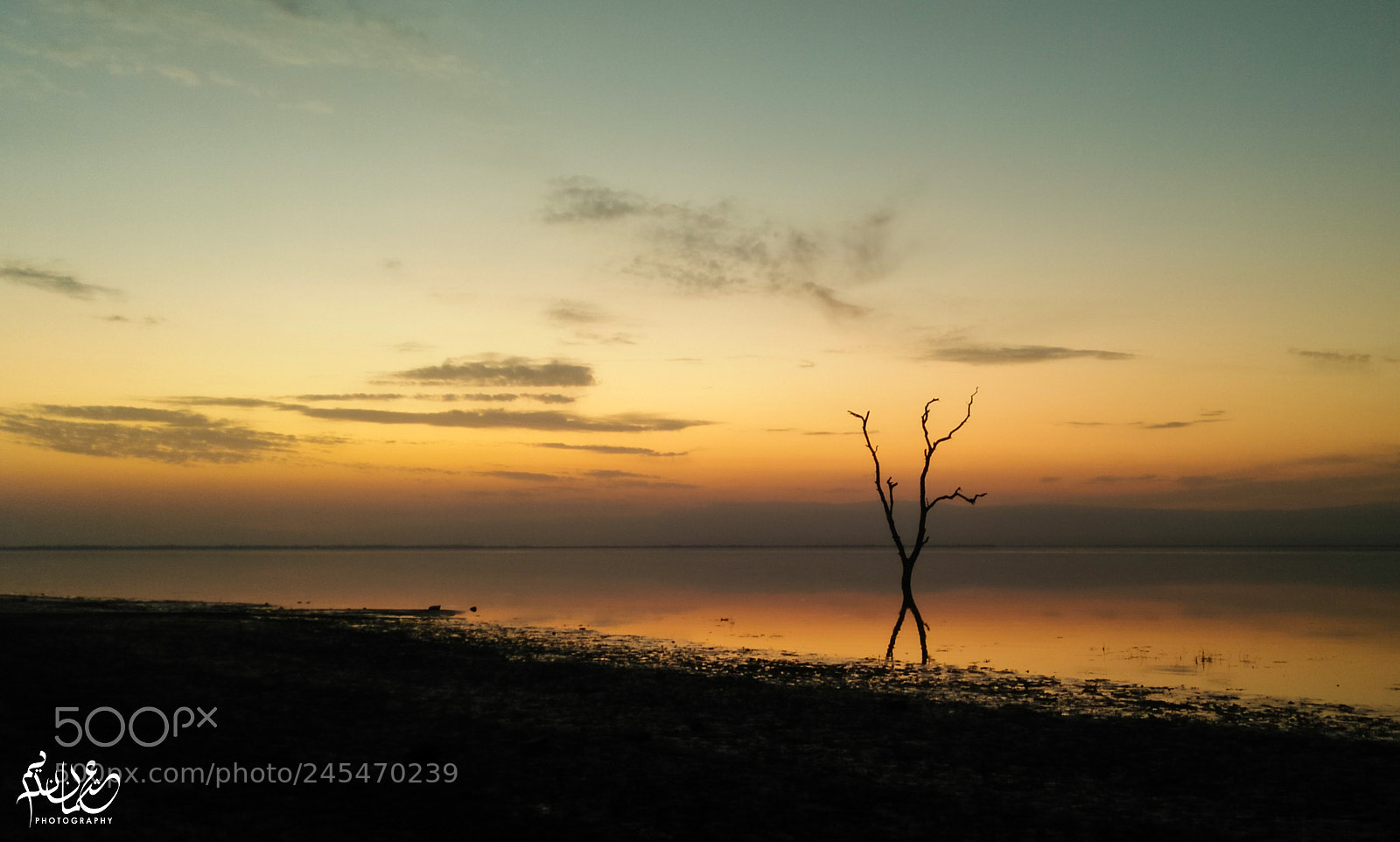 OPPO A37fw-International sample photo. Evening photography