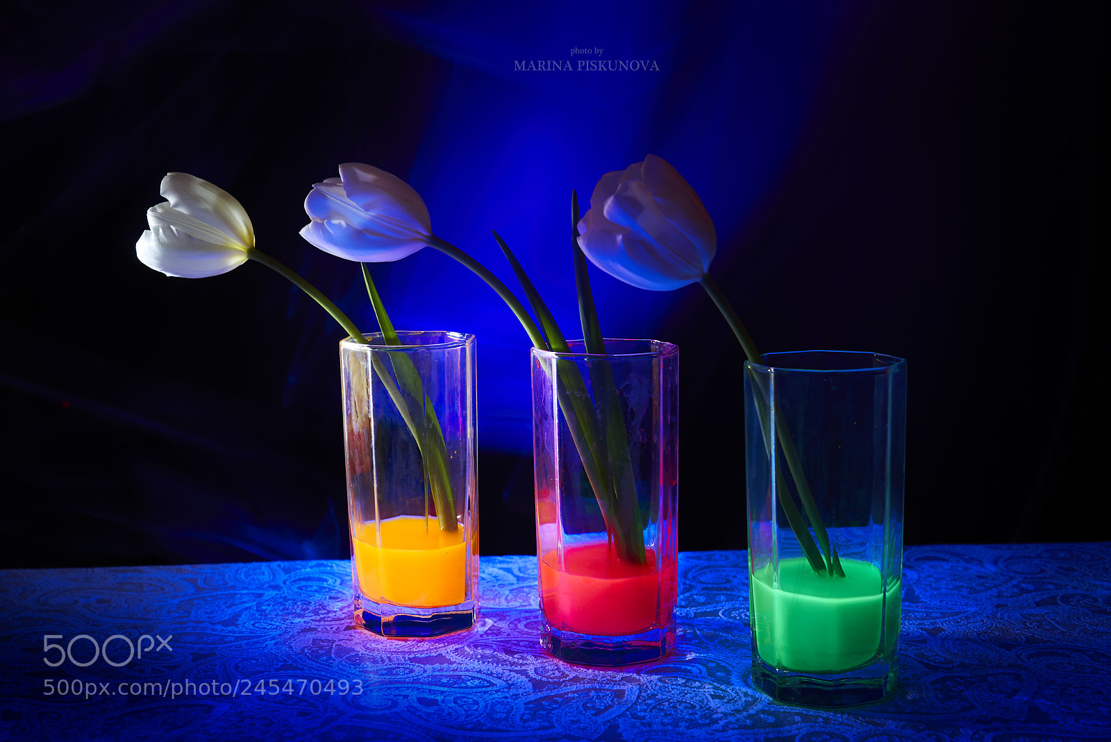Sony a7S sample photo. Tulips in neon photography