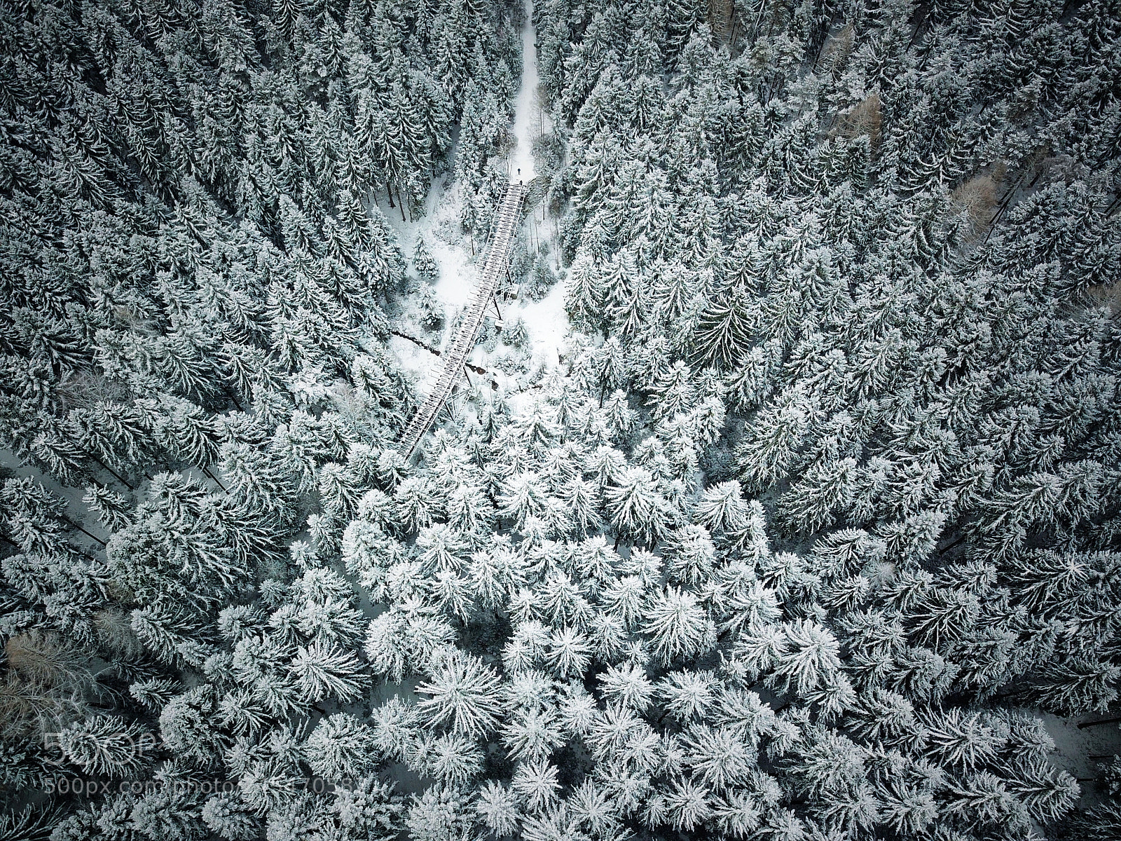 DJI FC220 sample photo. Untitled photography