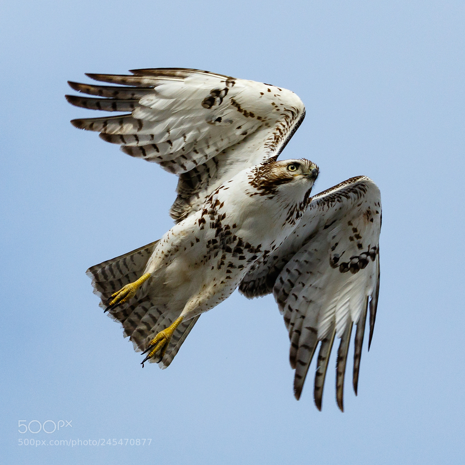 Canon EOS 7D Mark II sample photo. Aerodynamics photography