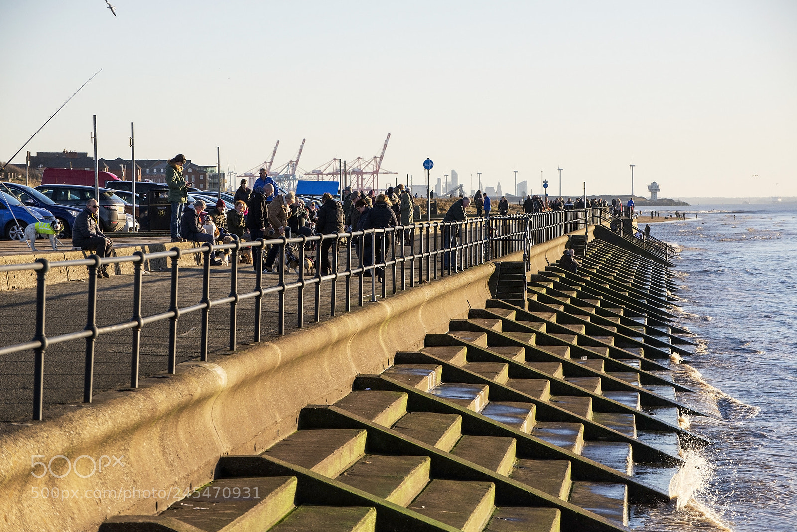 Nikon D600 sample photo. Promenading! (1) photography