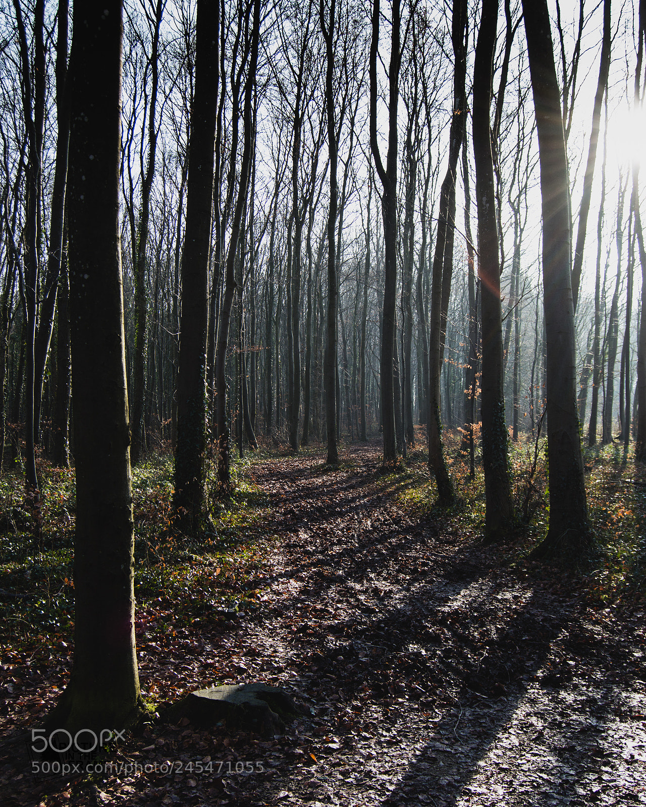 Nikon D3200 sample photo. Un jeu des ombres photography