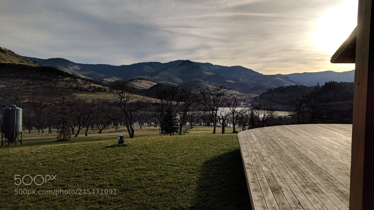 Google Pixel sample photo. Morning views photography