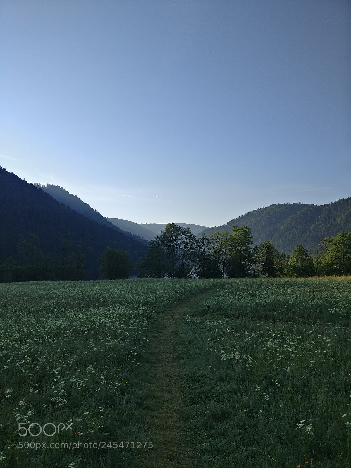 OnePlus A3003 sample photo. Sunrise at gerardmer photography