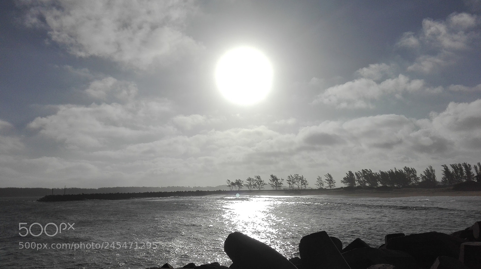 HUAWEI P8 Lite sample photo. Copy photography