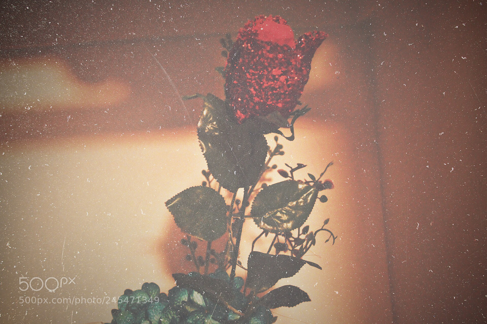 Canon EOS 1300D (EOS Rebel T6 / EOS Kiss X80) sample photo. Tale as old as photography