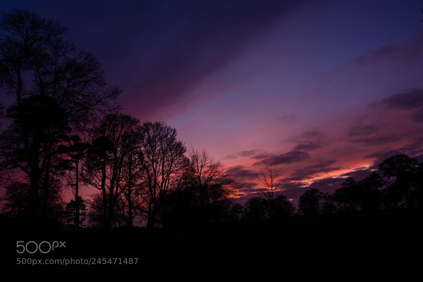 Nikon D5200 sample photo. February dusk#1 photography