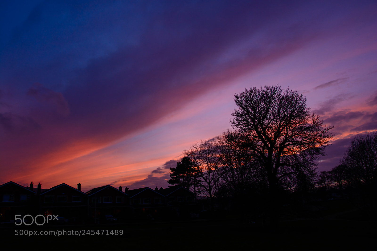 Nikon D5200 sample photo. February dusk#2 photography