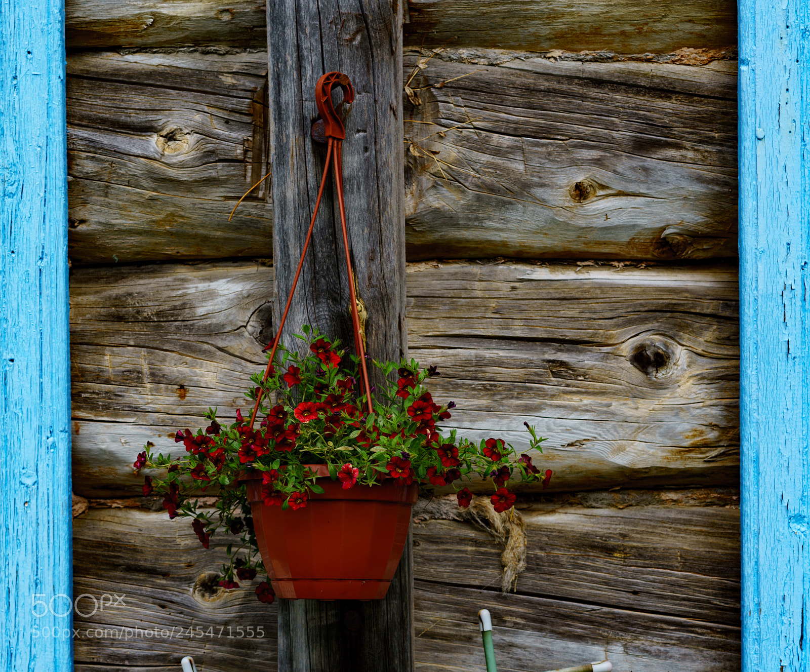Sony a7R II sample photo. Solovki 5. photography