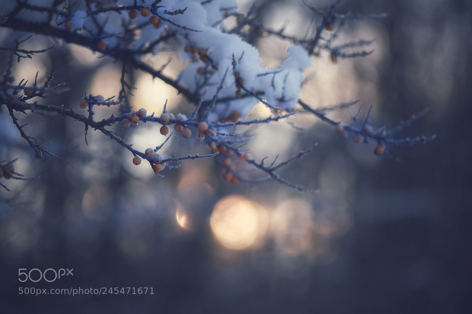 Nikon D5500 sample photo. A cold morning in photography