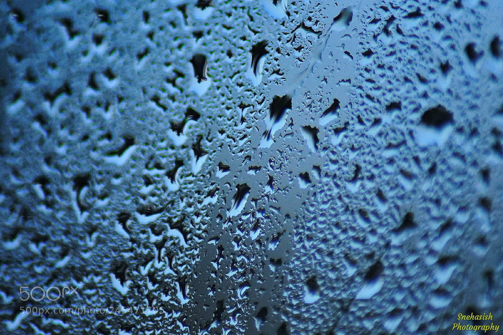Nikon D3400 sample photo. Untitled photography
