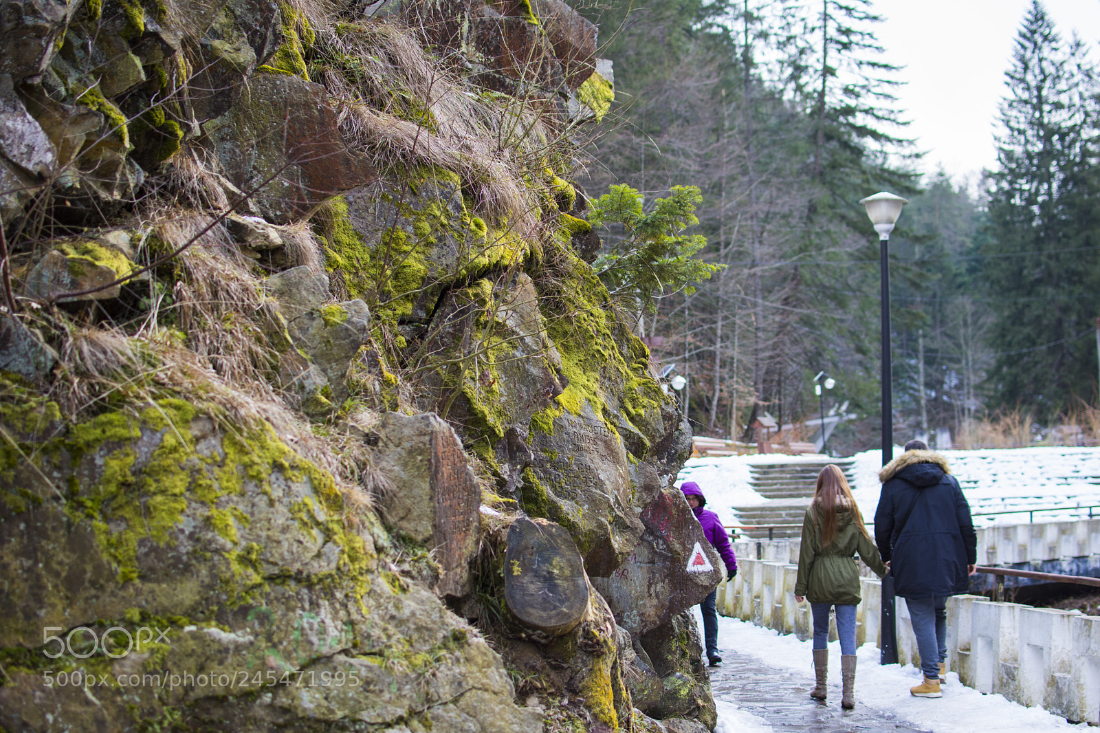 Nikon D7200 sample photo. Moss stone view photography