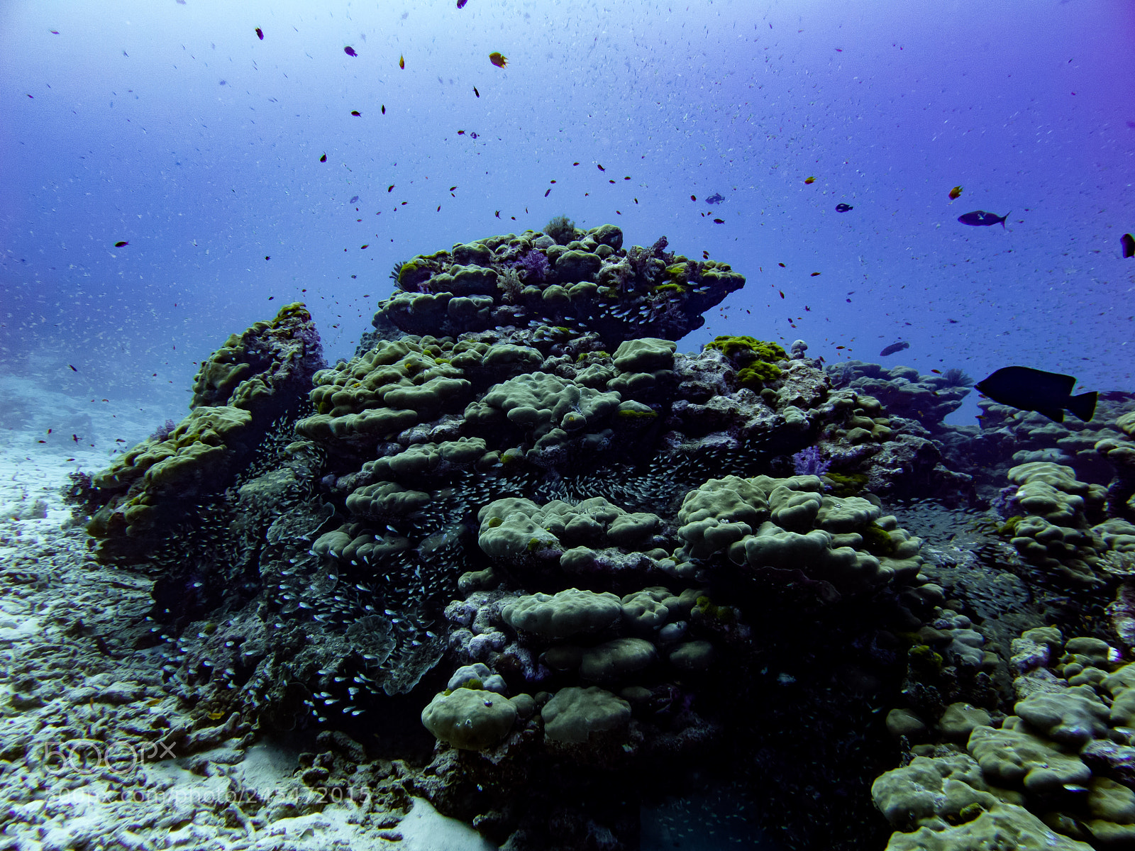 Canon PowerShot G16 sample photo. Coral landscape photography