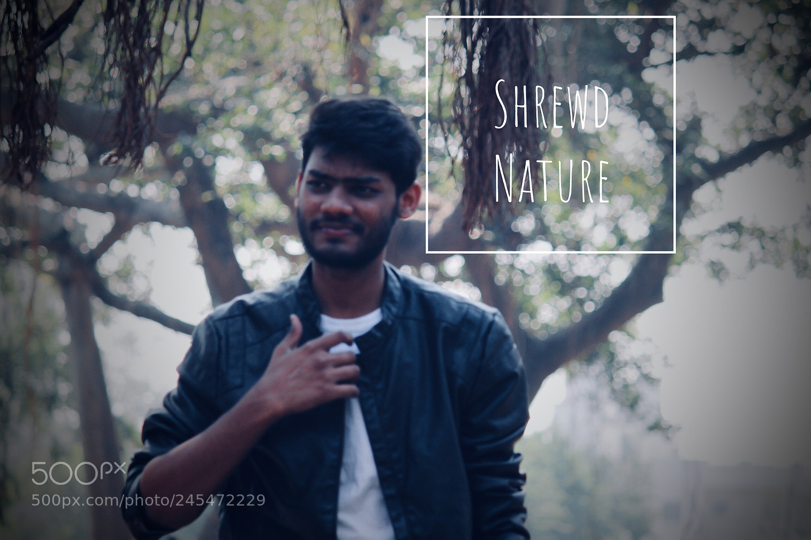 Canon EOS 700D (EOS Rebel T5i / EOS Kiss X7i) sample photo. Shrewd nature photography