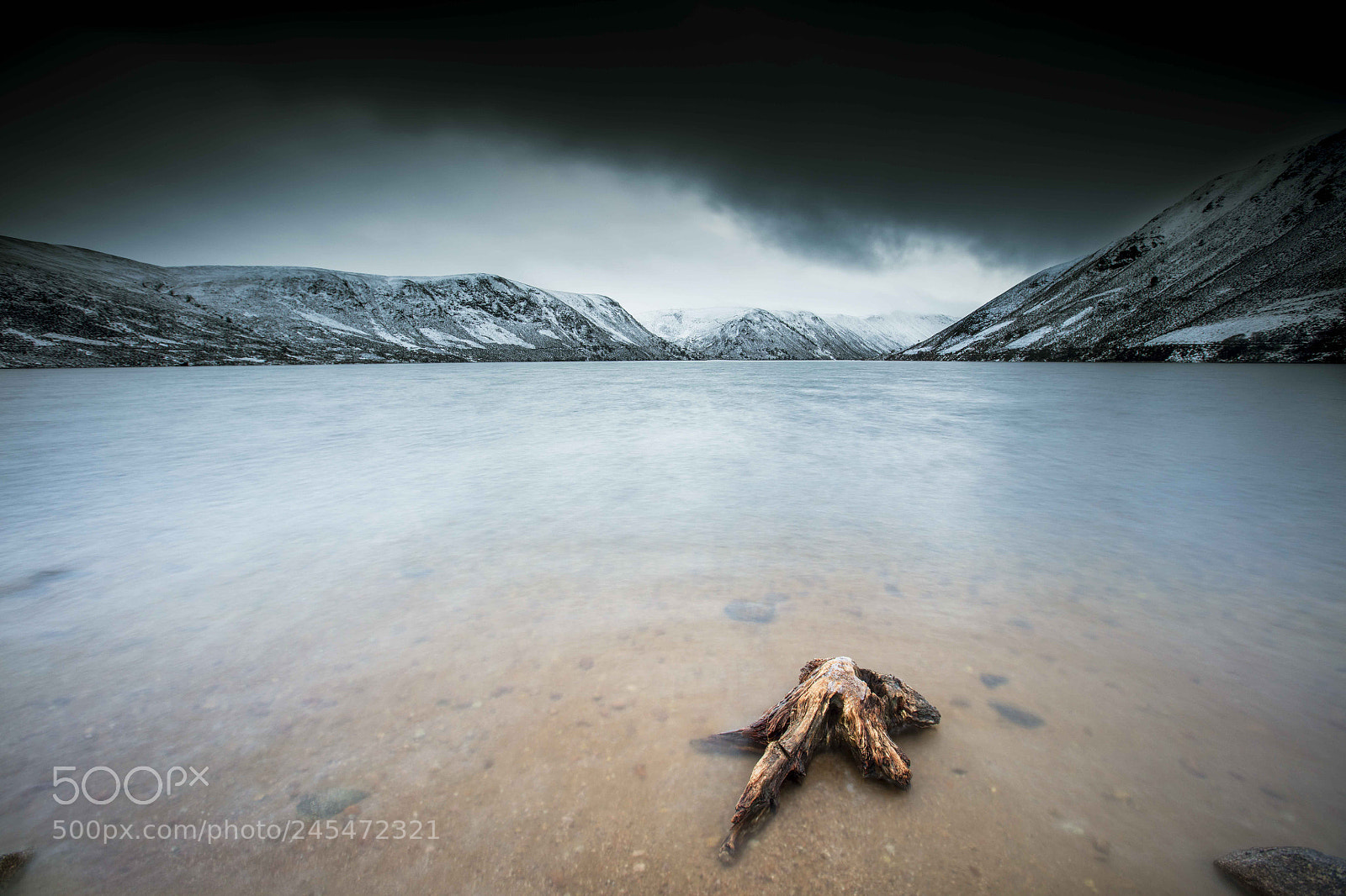Canon EOS 5DS sample photo. The octopus cometh photography
