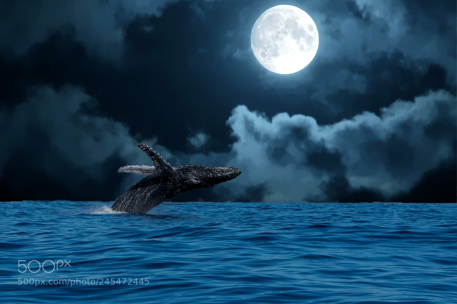 Nikon D5 sample photo. Moonbreaching photography