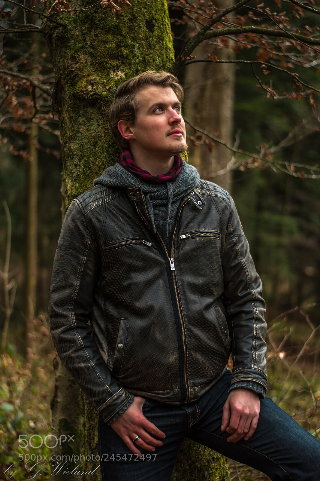 Nikon D5500 sample photo. Dreaming in the woods photography