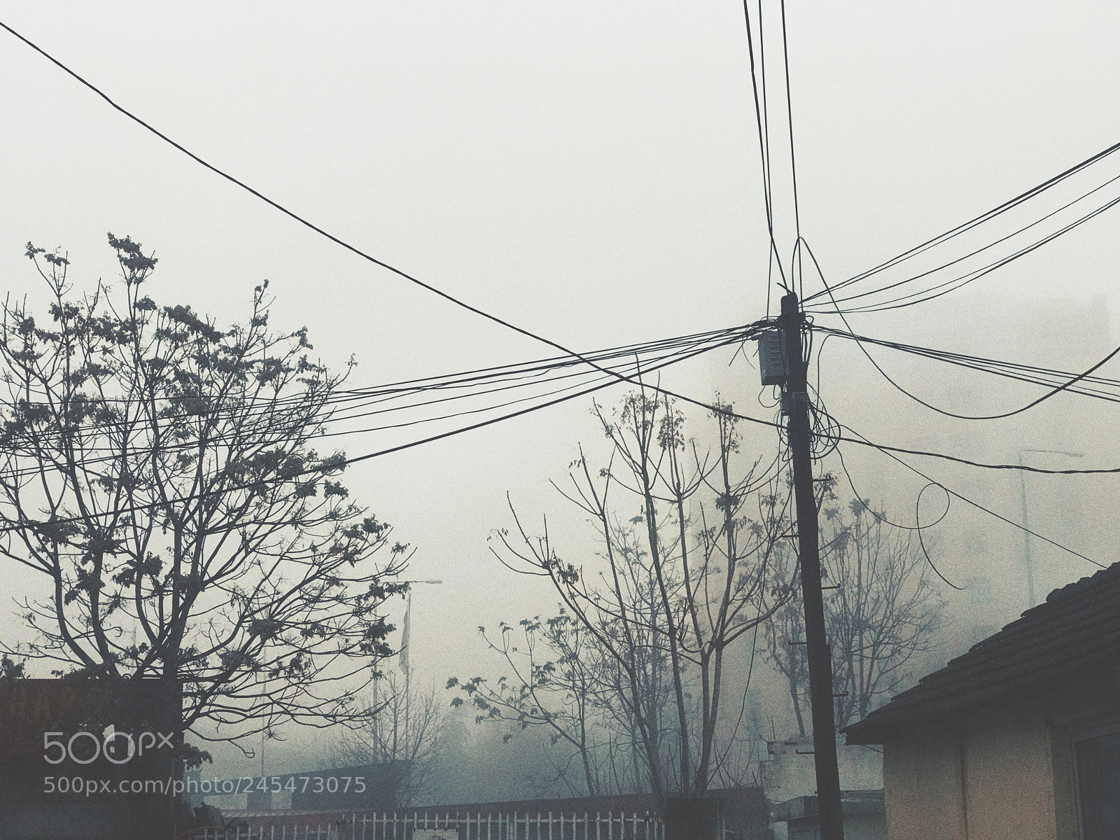 Apple iPhone 7 Plus sample photo. Fog in the city photography