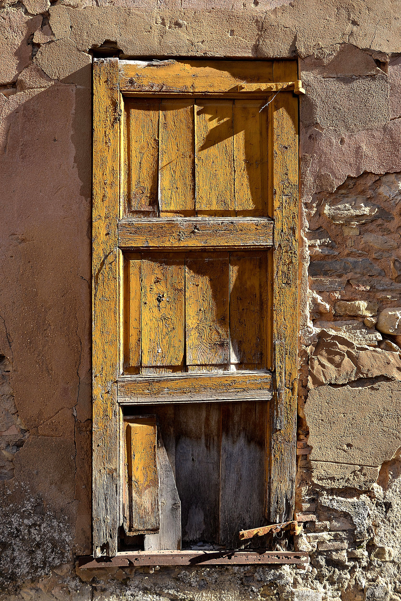 Nikon D3100 sample photo. En groc. photography