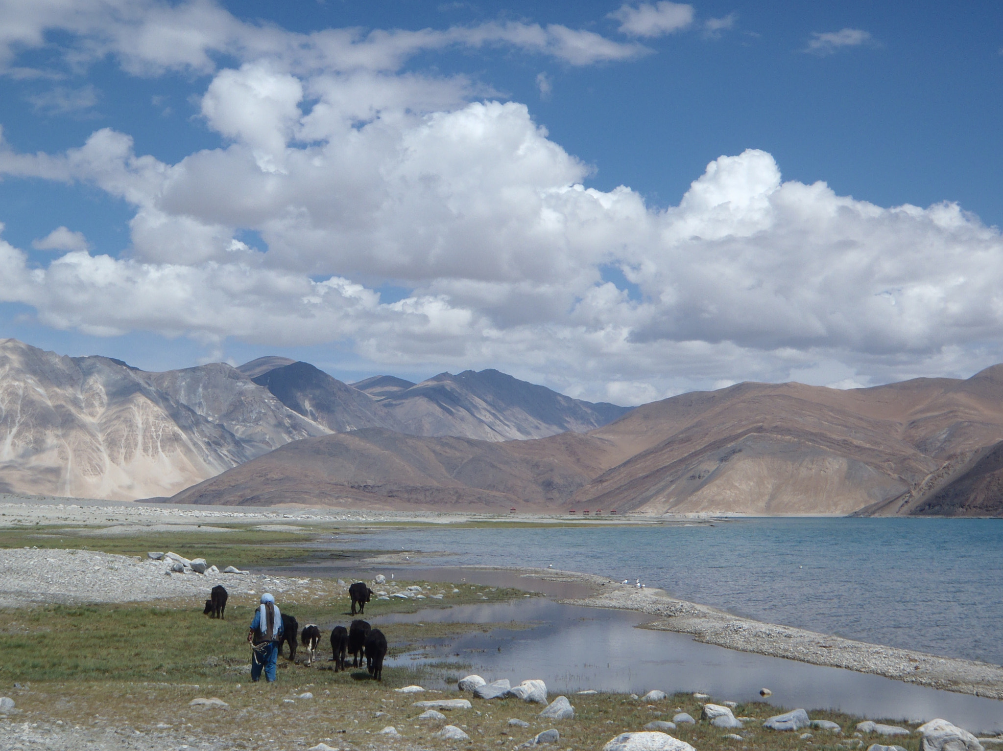 Olympus uTough-3000 sample photo. Pangon tso photography
