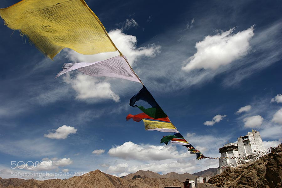 Canon EOS 20D sample photo. Leh, india - 2010 photography