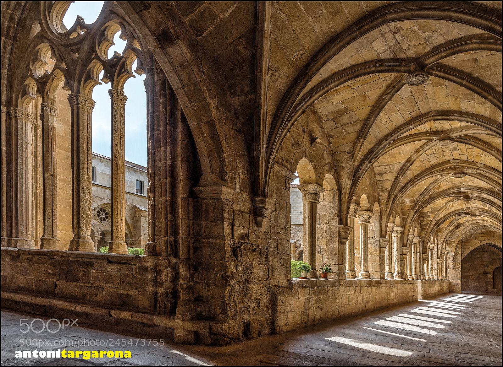 Nikon D7200 sample photo. The cloister photography