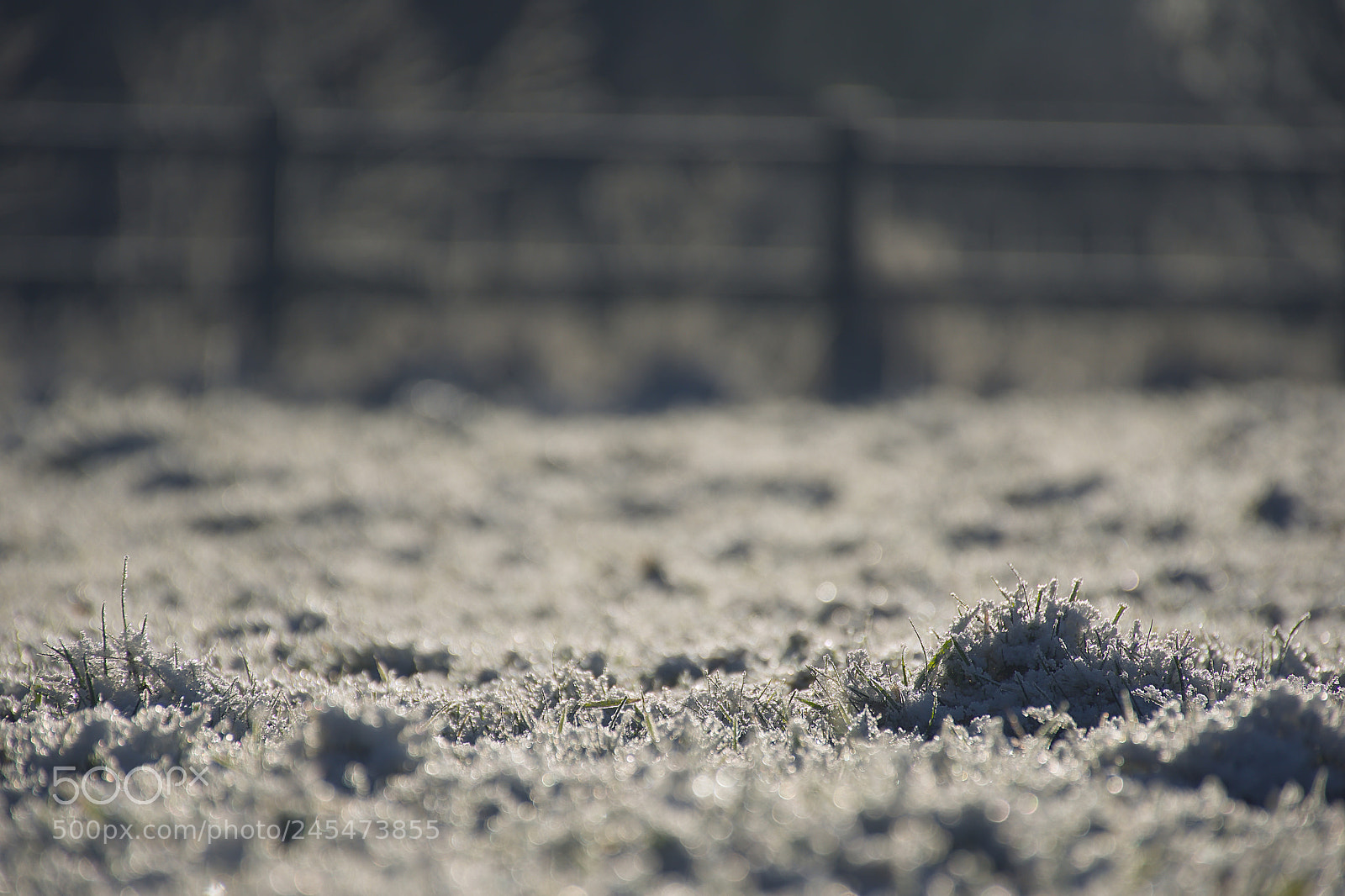 Nikon D7200 sample photo. Beautiful winter morning photography