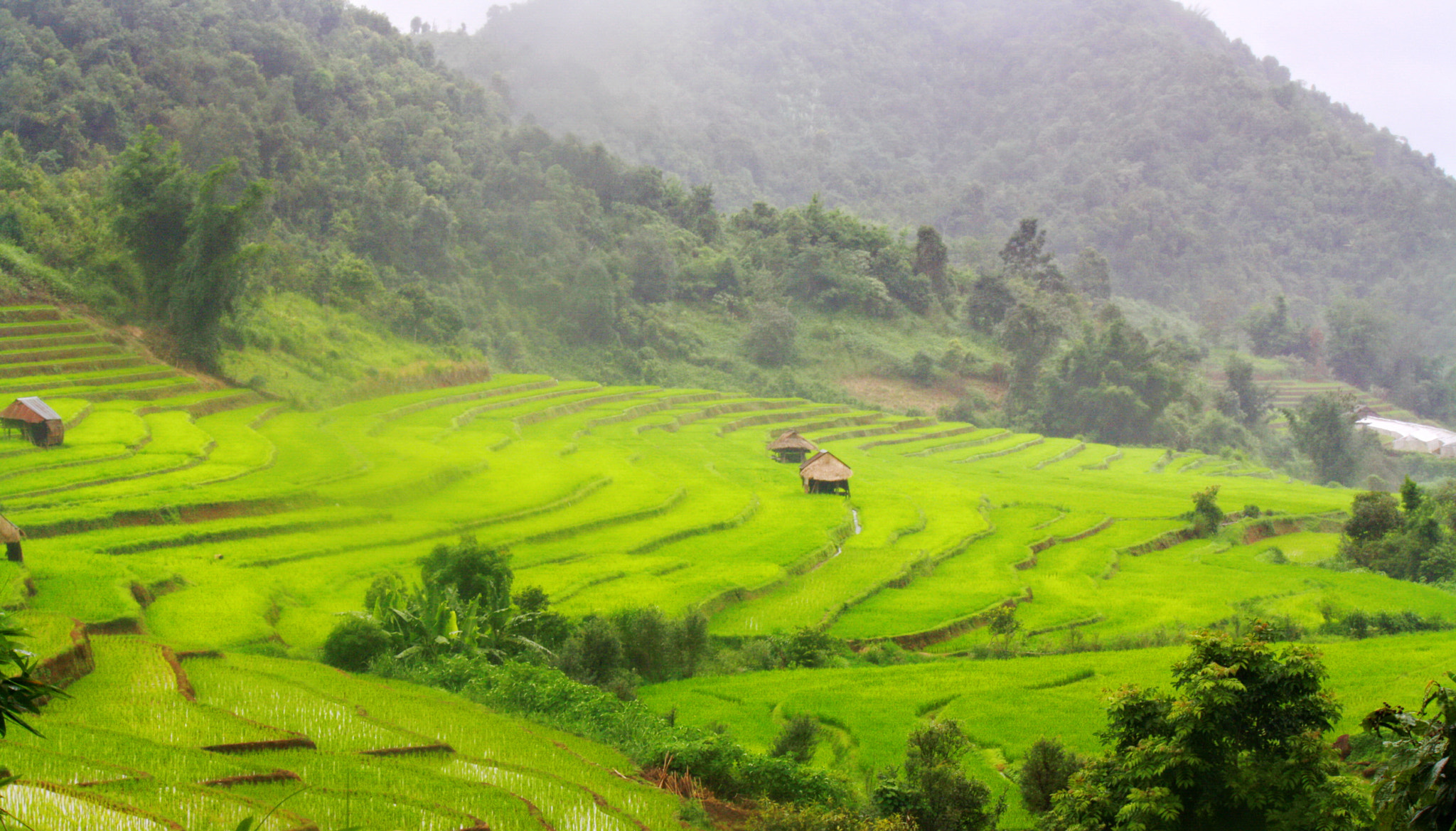 Canon EOS 1000D (EOS Digital Rebel XS / EOS Kiss F) sample photo. Rice terraces thailand photography