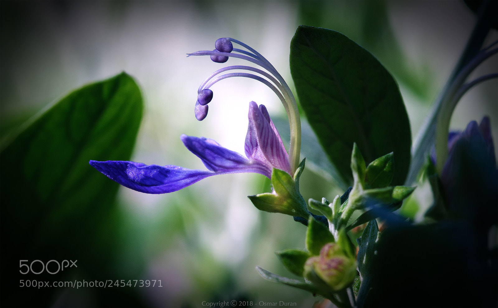 Nikon D300 sample photo. Curvy photography