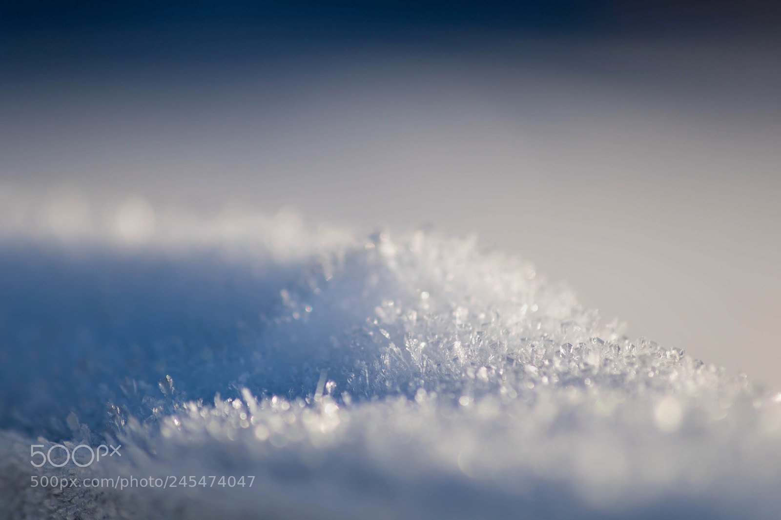 Canon EOS 750D (EOS Rebel T6i / EOS Kiss X8i) sample photo. Gathering of snowflakes photography
