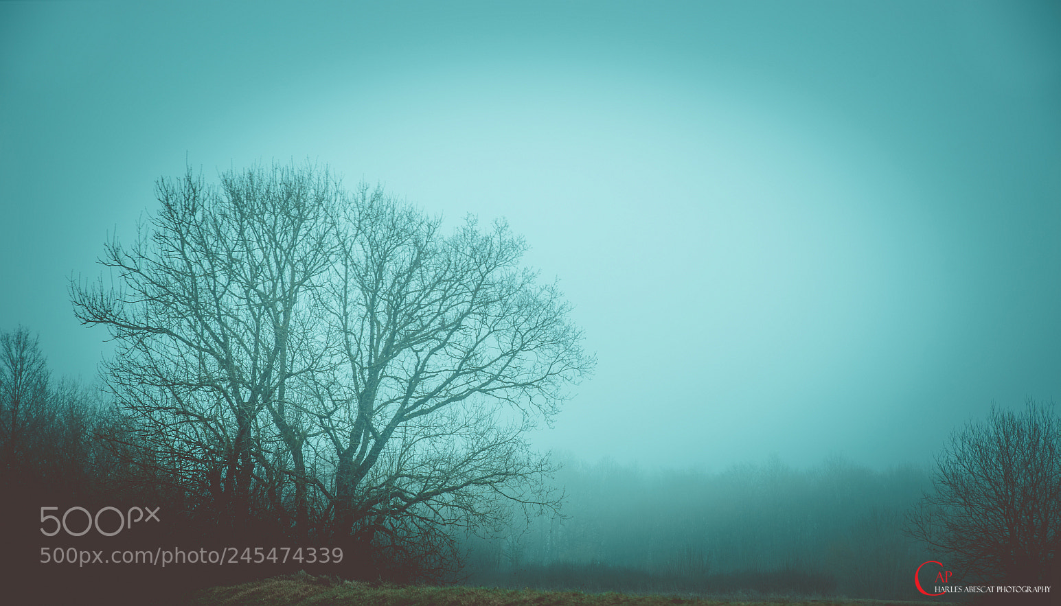 Pentax K-1 sample photo. Blue fog photography