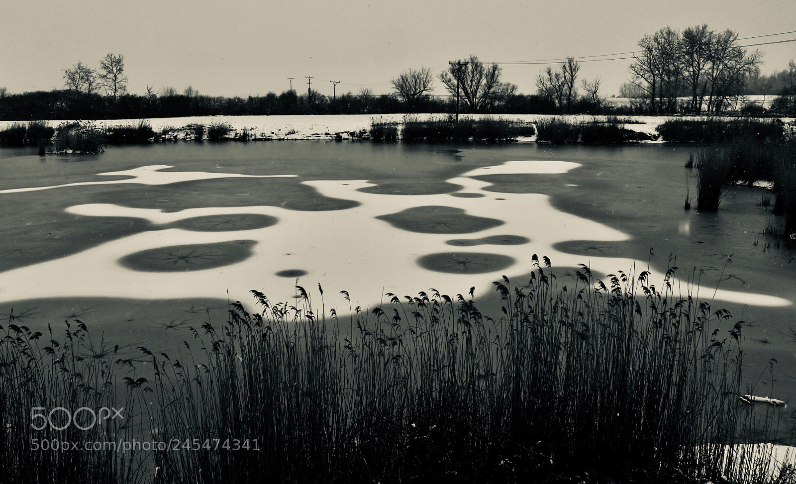 Leica V-Lux (Typ 114) sample photo. Snow paint photography