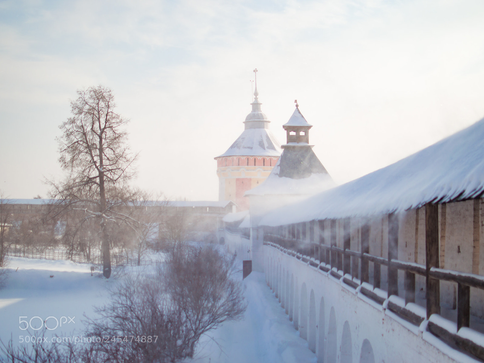 Nikon D3200 sample photo. Спасо-Прилуцкий мужской монастырь. Стены photography