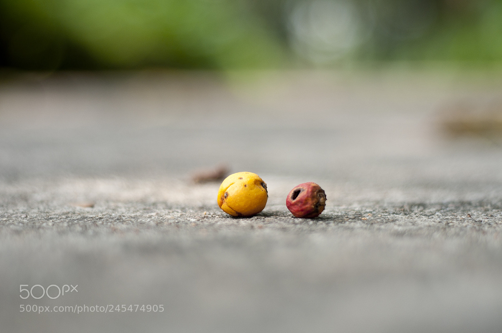 Nikon D300S sample photo. Untitled photography