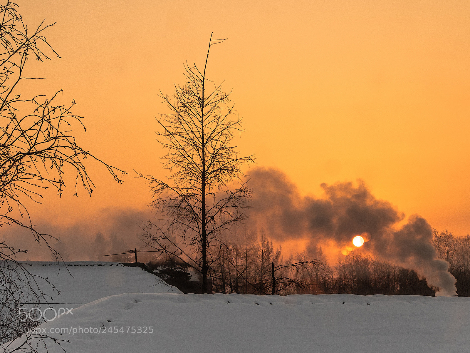 Sony a7R sample photo. Frosty morning. photography