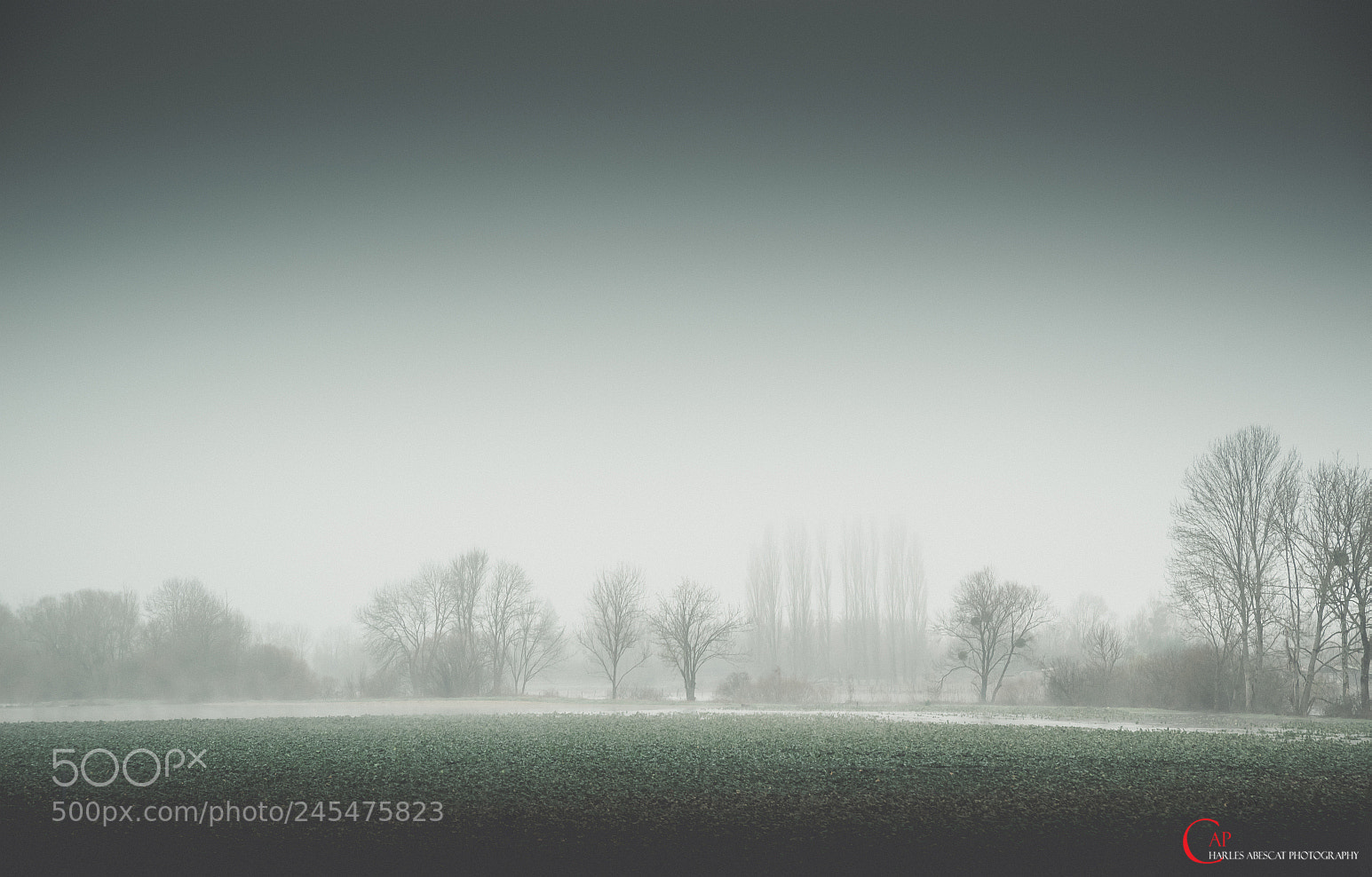 Pentax K-1 sample photo. Brouillard photography