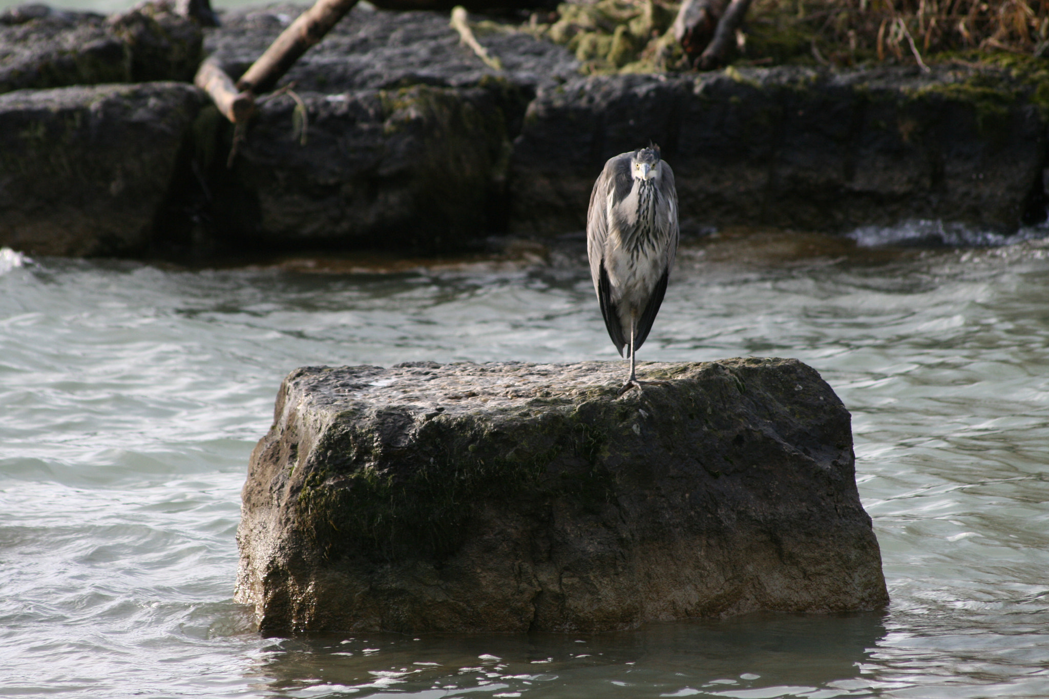 Sigma 70-300mm F4-5.6 APO DG Macro sample photo