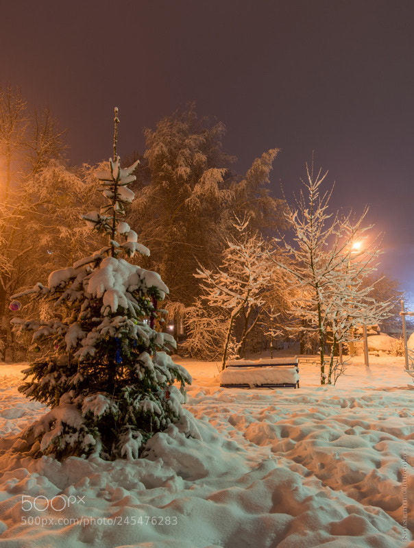 Sony a99 II sample photo. Winter night photography