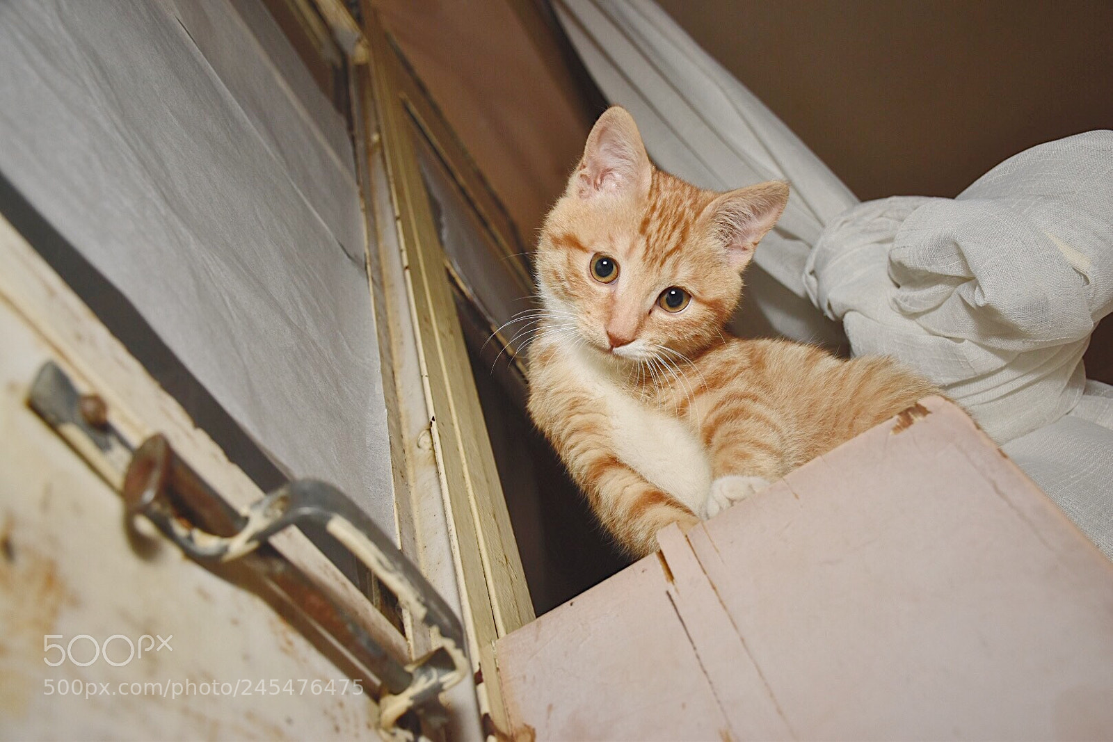 Nikon D5500 sample photo. 201802091629414.jpg photography